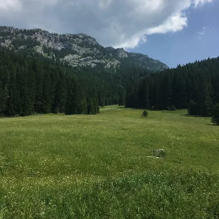 Privat Vypka Vendégház