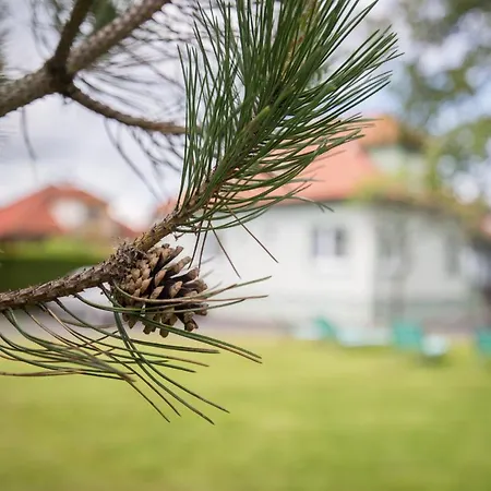 Privat Vypka Lipótszentmiklós